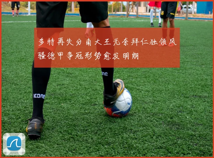 多特再失分南大王无奈拜仁独领风骚德甲争冠形势愈发明朗